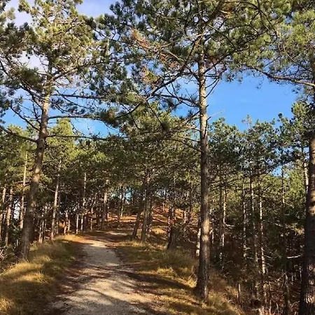 Rekerlanden 241 Alpesi faház